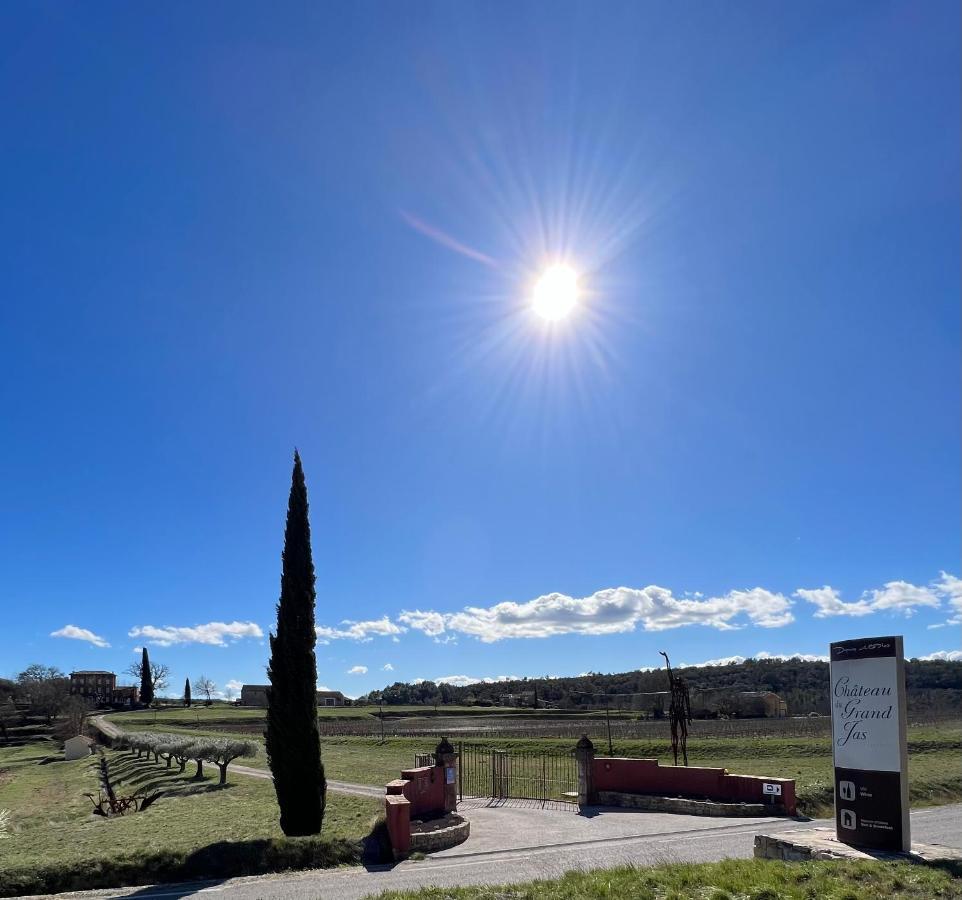 Chateau Du Grand Jas Entrecasteaux Екстериор снимка