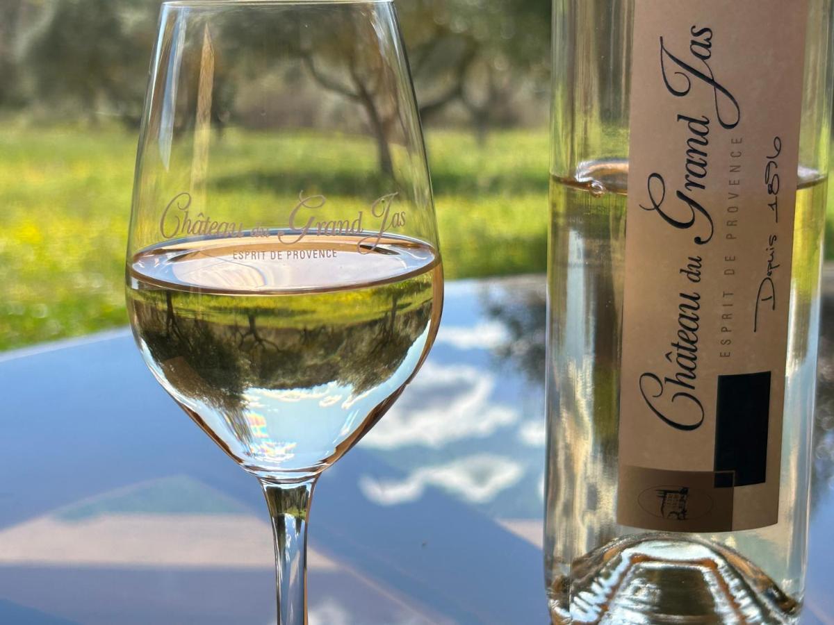 Chateau Du Grand Jas Entrecasteaux Екстериор снимка