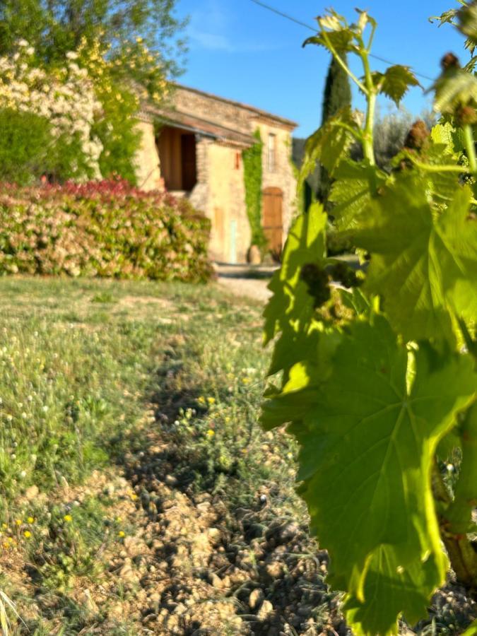 Chateau Du Grand Jas Entrecasteaux Екстериор снимка